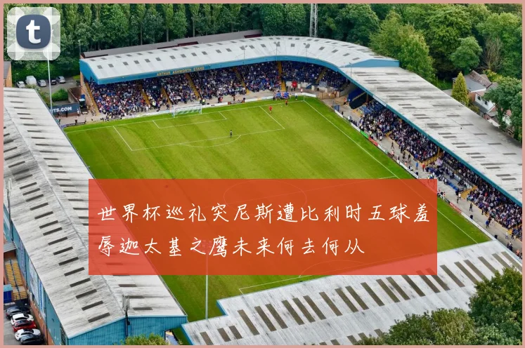 世界杯巡礼突尼斯遭比利时五球羞辱迦太基之鹰未来何去何从