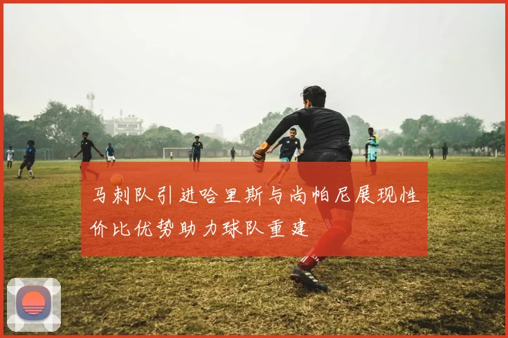 马刺队引进哈里斯与尚帕尼展现性价比优势助力球队重建